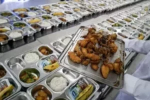 Sejumlah Negara Sahabat dan Investor Asing Apresiasi Program MBG