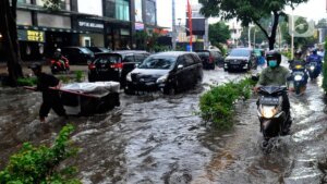 Sinergi Pusat dan Daerah dalam Mitigasi Bencana