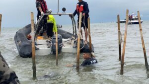 Pemerintah Pastikan Penegakan Hukum dalam Kasus Pagar Laut Berjalan Transparan