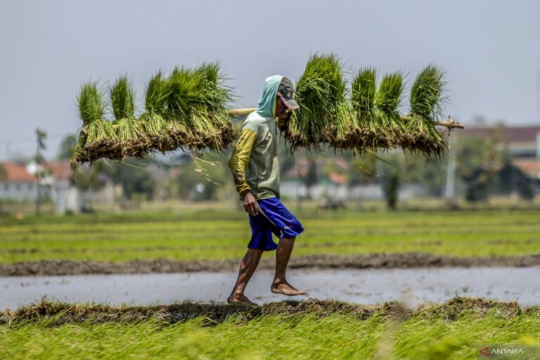 Swasembada Pangan dan Energi Kunci Ketahanan Nasional