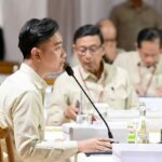 Wapres Gibran Sah dan Konstitusional, Narasi Pemakzulan Tidak Relevan