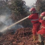 Waspada Musim Kemarau, Pemerintah Perkuat Mitigasi Karhutla