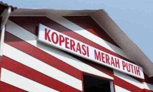 Pemerintah Dorong Percepatan Pembentukan Koperasi Desa Merah Putih di Berbagai Daerah