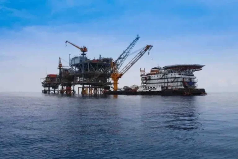 Swasembada Energi Jadi Misi Utama Kebijakan Nasional Menuju Indonesia Emas 2045