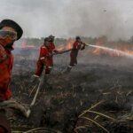 Respon Cepat Pemerintah Kunci Keberhasilan Hadapi Karhutla