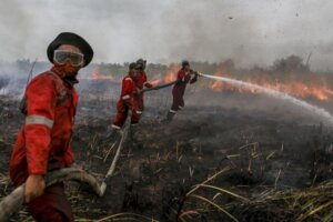 Respon Cepat Pemerintah Kunci Keberhasilan Hadapi Karhutla