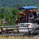 Keberadaan Organisasi Tani Perkuat Program Swasembada Pangan untuk Kesejahteraan Petani