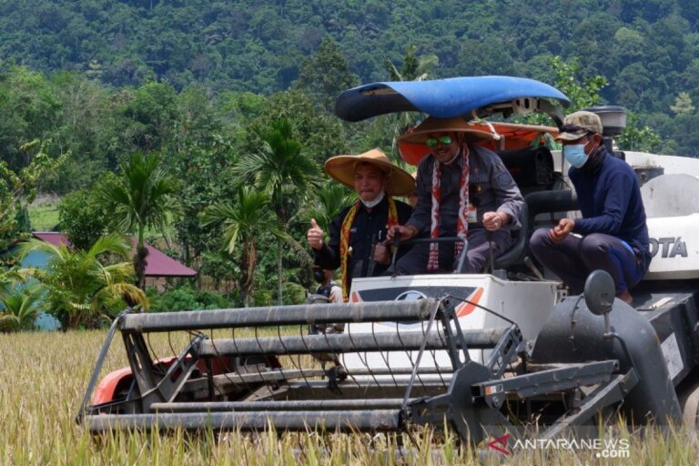Keberadaan Organisasi Tani Perkuat Program Swasembada Pangan untuk Kesejahteraan Petani