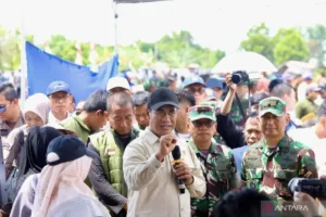 Pemerintah Dorong Swasembada Pangan Melalui Penguatan Brigade Pangan