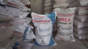Distribusi Pupuk Kunci Kesuksesan Swasembada Pangan