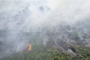 Komitmen Pemerintah dalam Penanganan Bencana Karhutla di Riau