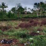 Pengalihan Tanah Terlantar Dorong Optimalisasi Lahan Produktif