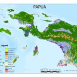 Mengutuk Kekejaman OPM dan Mengapresiasi Ketegasan Aparat Keamanan Menjaga Papua