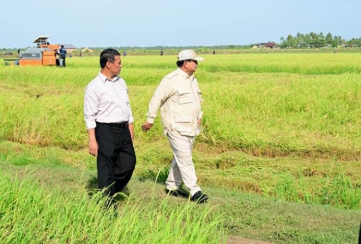 Program Swasembada Pangan Presiden Prabowo Langkah Nyata Dukung Kesejahteraan Rakyat