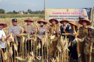 Panen Raya Jagung Tegaskan Komitmen Pemerintah Capai Swasembada Pangan