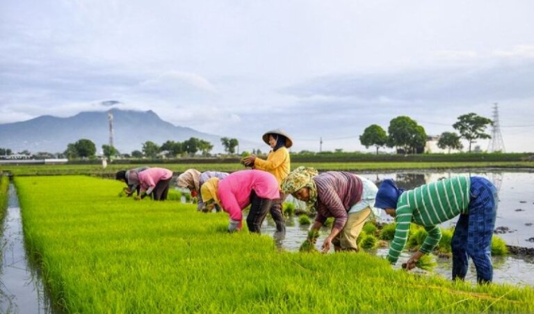 Pemerintah Dorong Hilirisasi Komoditas Lokal Tingkatkan Daya Saing Global