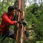 Hilirisasi Komoditas Strategis Wujudkan Kemandirian Ekonomi Nasional