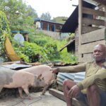 Bantuan Produktif Pemerintah Jadi Bukti Nyata Kepedulian untuk Masyarakat Papua