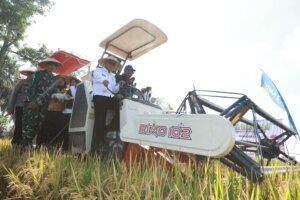 Teknologi Pertanian Berkelanjutan Dukung Penguatan Swasembada Pangan