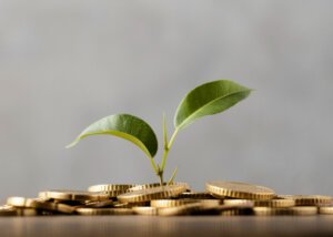 Perbaikan Iklim Usaha Jadi Pilar Kuat Stabilitas Investasi Indonesia