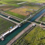 Di Tengah Tekanan Global, Swasembada Pangan Harus Dipercepat