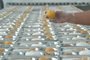 Temuan Bahan Pangan Tak Layak, Pemerintah Ambil Langkah Tegas Tutup SPPG