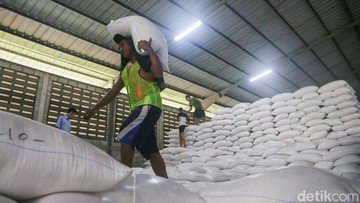 Beras Aman di Tengah Badai Global