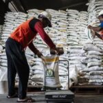 Cadangan Beras Menguat, Ancaman Global dan El Nino Terkendali