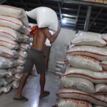 Ketahanan Beras Indonesia di Tengah Tekanan Global dan Iklim