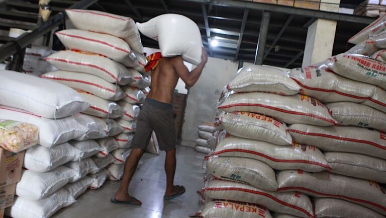 Ketahanan Beras Indonesia di Tengah Tekanan Global dan Iklim