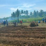 Ketahanan Pangan Papua Kian Kuat, Distribusi hingga Kampung Terpencil Terus Diperluas