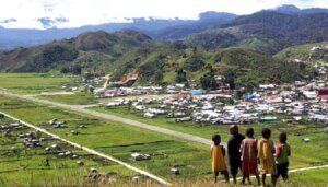 PSN Papua Memperkuat Kemandirian Ekonomi Masyarakat