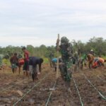 Pemerintah Perkuat Ketahanan Pangan Papua Lewat Sinergi Distribusi dan Pemberdayaan Masyarakat
