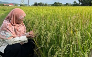 Hilirisasi sebagai Jalan Kedaulatan Pangan Nasional