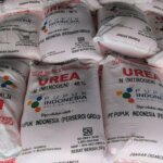 Harga Pupuk Subsidi Dijaga, Petani Tetap Terlindungi dari Dampak Global