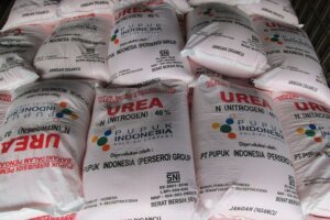 Harga Pupuk Subsidi Dijaga, Petani Tetap Terlindungi dari Dampak Global