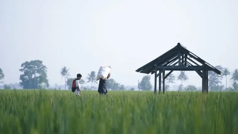 Kedaulatan Pangan Diperkuat lewat Optimasi Lahan dan Larangan Alih Fungsi Sawah
