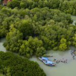 Biodiversity Credit dan Masa Depan Pembiayaan Ekonomi Hijau Indonesia