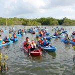 Pemerintah Dorong Mangrove Jadi Sumber Ekonomi Hijau dan Lapangan Kerja Baru