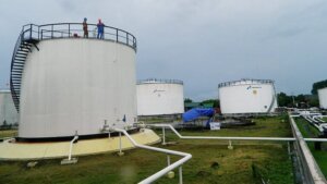 B50 Diperluas Bertahap, Pemerintah Siapkan Transisi Nasional hingga Oktober