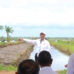 PSN Merauke Perkuat Ketahanan Pangan Nasional dan Percepat Kesejahteraan Masyarakat Papua