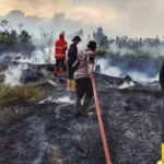 Penegakan Hukum Karhutla Diperkuat, Korporasi Nakal Disanksi Tegas
