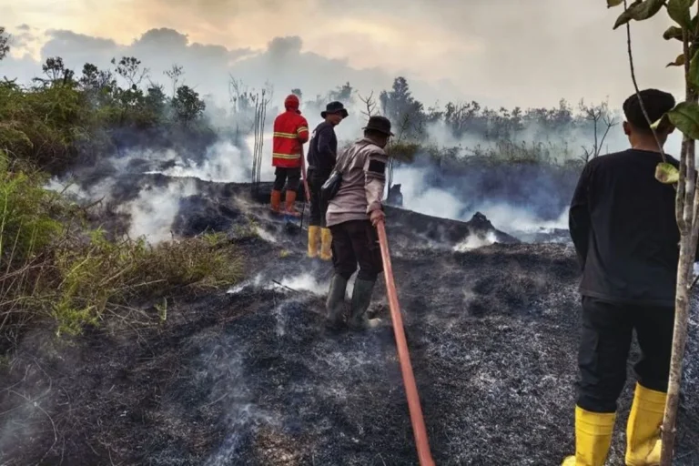 Penegakan Hukum Karhutla Diperkuat, Korporasi Nakal Disanksi Tegas