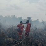 Pemerintah Siagakan Langkah Antisipatif Cegah Dampak El Nino