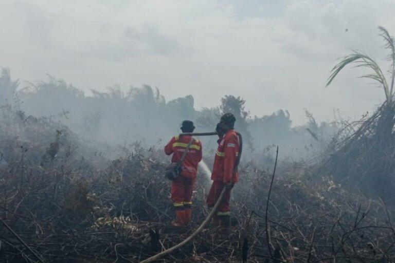 Pemerintah Siagakan Langkah Antisipatif Cegah Dampak El Nino