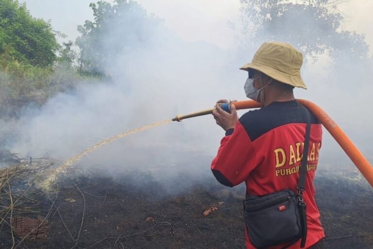Hadapi El Nino, Pemerintah Tunjukkan Kesiapan Melindungi Hutan dan Masyarakat