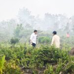 Dari Peringatan Dini hingga Koordinasi Lapangan, Pemerintah Siaga Hadapi El Nino