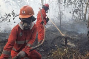 Perlindungan Kesehatan, Pendidikan, dan Bansos Disiapkan bagi Korban Karhutla