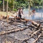 Pemerintah Perkuat Mitigasi Karhutla di Sumatra, Kalimantan, Hingga Jawa