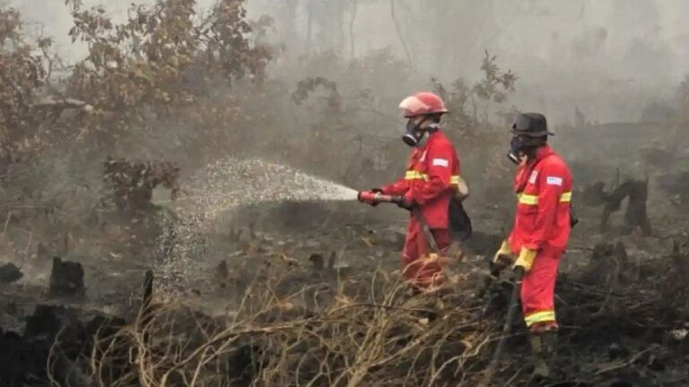 Dari Hotspot hingga Water Bombing, Strategi Pemerintah Tekan Ancaman Karhutla